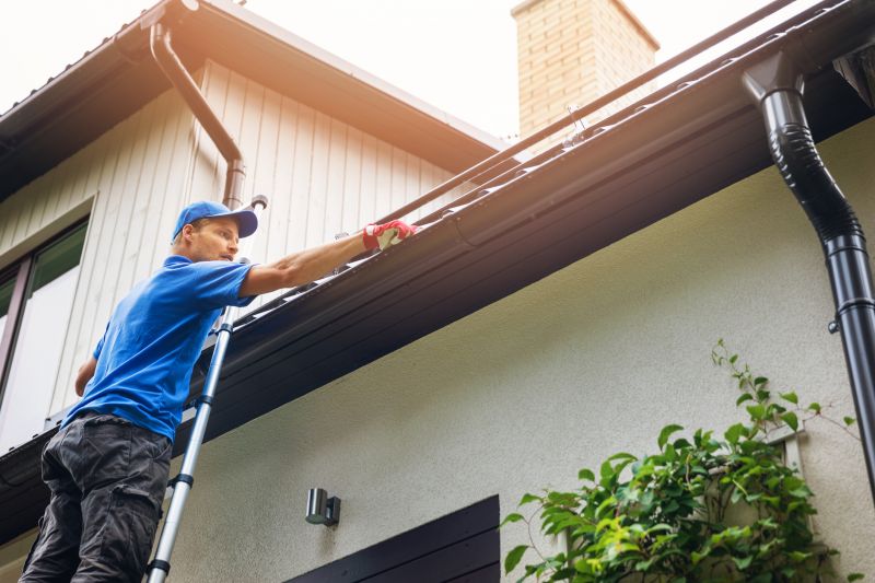 Local Handymen for Gutter Maintenance