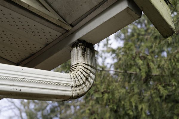 Roof Drain Replacement in Camden